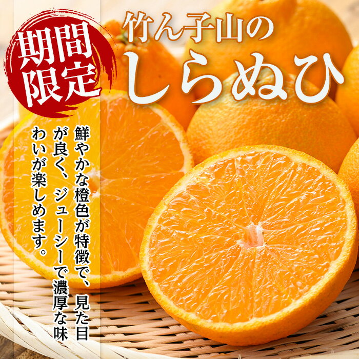 【ふるさと納税】≪数量・期間限定≫いずみ産 竹ん子山のしらぬひ(約1.5kg) 鹿児島 国産 九州産 しらぬい 不知火 柑橘 くだもの フルーツ 果実 【イーサイドライン】 - 画像3