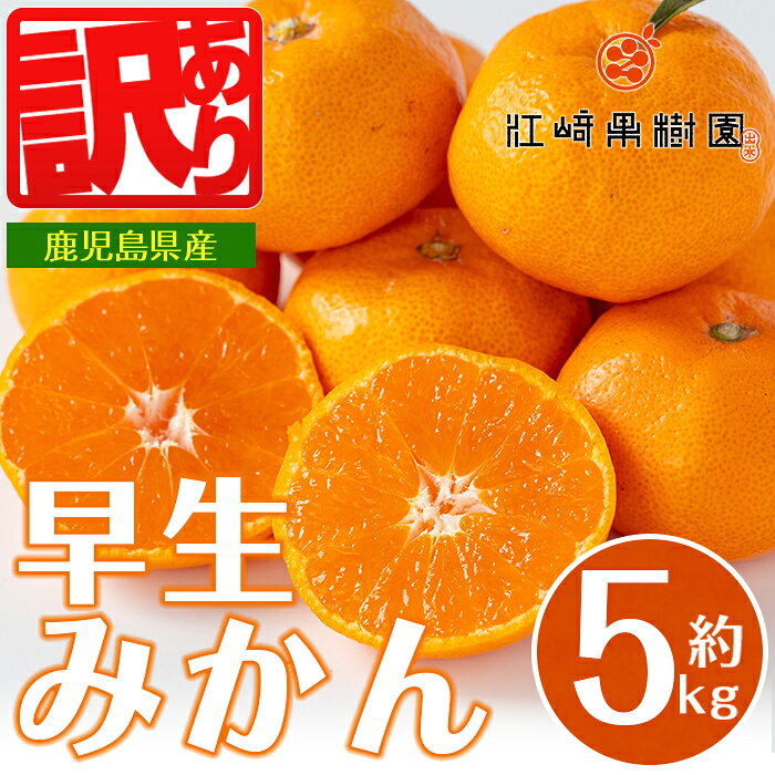 ＜先行予約受付中！2025年12月の間に発送予定＞ ＜数量・期間限定＞《傷ありのため訳あり》鹿児島みかん 早生系 (約5kg) みかん 蜜柑 ミカン 柑橘 早生 果物 フルーツ 果実 国産 鹿児島 訳あり 数量限定 期間限定 【江崎果樹園】