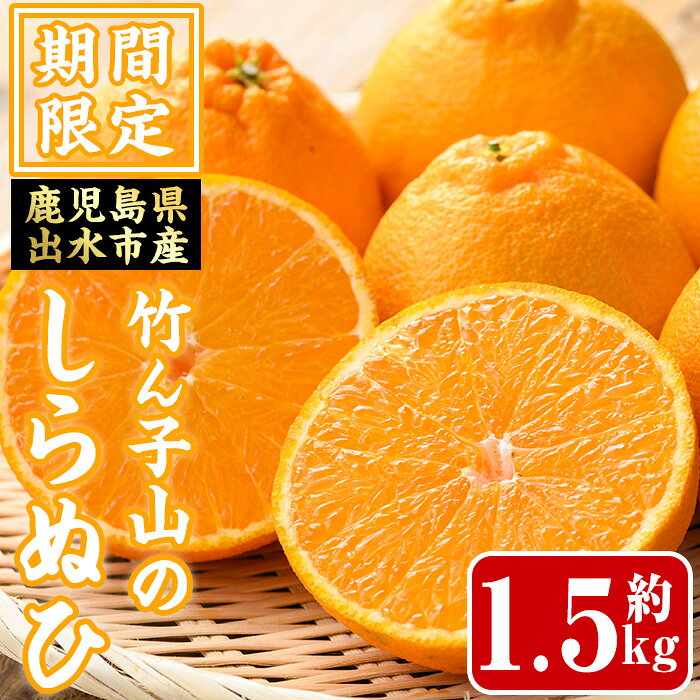≪数量・期間限定≫いずみ産 竹ん子山のしらぬひ(約1.5kg) 鹿児島 国産 九州産 しらぬい 不知火 柑橘 くだもの フルーツ 果実 【イーサイドライン】