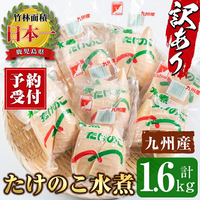 《先行予約受付中！2026年1月下旬以降順次発送予定》＜訳あり＞九州産たけのこ水煮(200g×8P・計1.6kg) たけのこ 筍 タケノコ 水煮 国産 訳アリ 訳あり 常温保存 常温 料理 煮物 炊き込みご飯 おでん 料理 お手軽 予約 先行予約 【マツバラ】