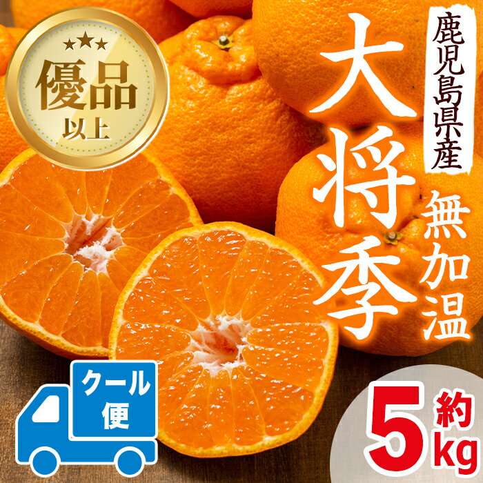 ≪先行予約受付中！2026年1月中旬以降順次発送予定≫【冷蔵便】大将季＜無加温＞ (約5kg) 国産 みかん 柑橘 種果物 くだもの フルーツ 旬 糖度抜群【JA鹿児島いずみ(果実課)】