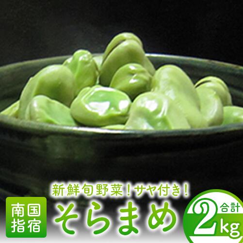 ＜2026年3月中旬以降順次発送＞そらまめ(約2kg) そら豆 ソラマメ そらまめ 野菜 旬 大容量 産地直送 冬 春 【オネファーム】
