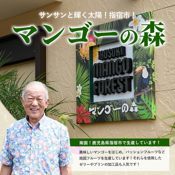 【ふるさと納税】【全4回定期便】完熟マンゴー＆トロピカルスイーツ定期便 鹿児島県 指宿産 南国 フルーツ 完熟 マンゴー 果物 くだもの パッションフルーツ マンゴースイーツ ゼリー プリン アイス 詰め合わせ ギフト【マンゴーの森】 サムネイル2