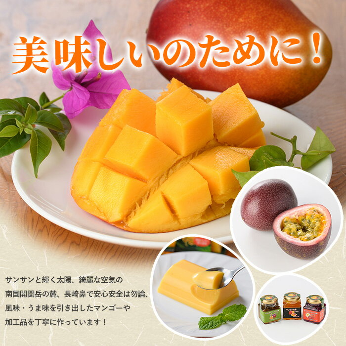 【ふるさと納税】【全4回定期便】完熟マンゴー＆トロピカルスイーツ定期便 鹿児島県 指宿産 南国 フルーツ 完熟 マンゴー 果物 くだもの パッションフルーツ マンゴースイーツ ゼリー プリン アイス 詰め合わせ ギフト【マンゴーの森】 サムネイル3