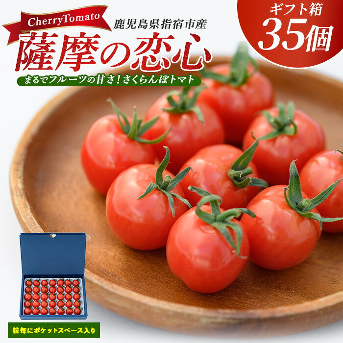 鹿児島県指宿市産さくらんぼトマト 薩摩の恋心(35個入) フルーツトマト プチトマト ミニトマト 野菜 とまと トマト プチぷよ あまい 旬 ギフト 贈答品 【シナジーブリーディング】