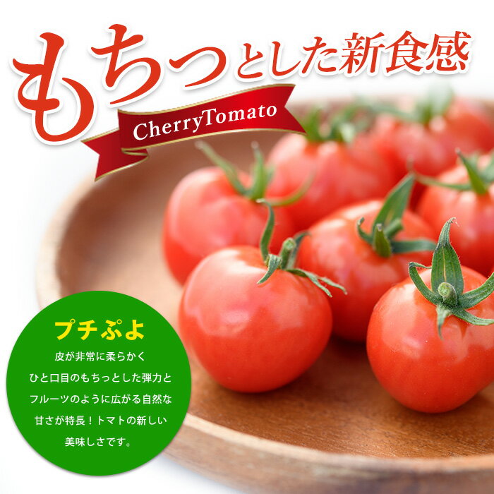 【ふるさと納税】鹿児島県指宿市産さくらんぼトマト 薩摩の恋心(35個入) フルーツトマト プチトマト ミニトマト 野菜 とまと トマト プチぷよ あまい 旬 ギフト 贈答品 【シナジーブリーディング】 - 画像3