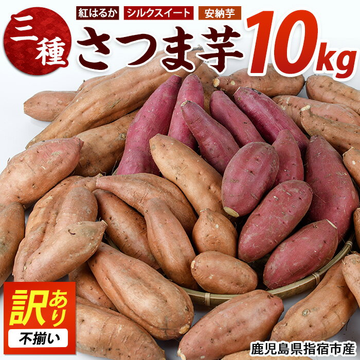 ＜期間限定＞＜訳あり・不揃い＞鹿児島県指宿市産！家庭用さつまいも3種詰め合わせセット(合計約10kg) 鹿児島 さつまいも さつま芋 サツマイモ 紅はるか シルクスイート 安納芋 スイーツ セット 常温【らくと農園】