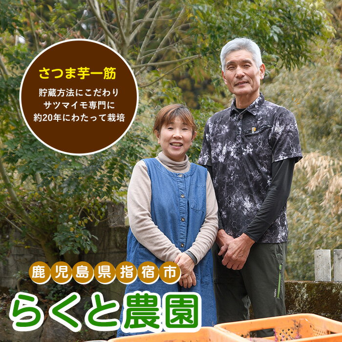 【ふるさと納税】＜期間限定＞＜訳あり・不揃い＞鹿児島県指宿市産！家庭用さつまいも3種詰め合わせセット(合計約10kg) 鹿児島 さつまいも さつま芋 サツマイモ 紅はるか シルクスイート 安納芋 スイーツ セット 常温【らくと農園】 サムネイル2