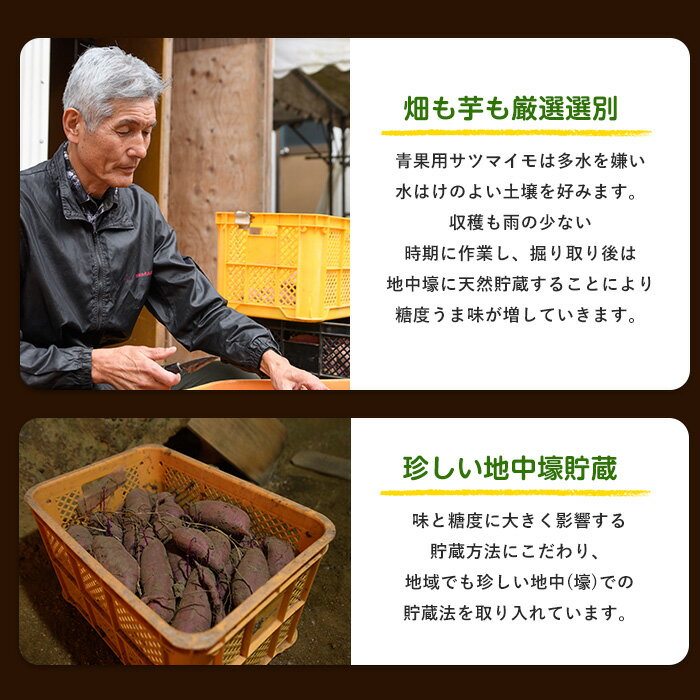 【ふるさと納税】＜期間限定＞＜訳あり・不揃い＞鹿児島県指宿市産！家庭用さつまいも3種詰め合わせセット(合計約10kg) 鹿児島 さつまいも さつま芋 サツマイモ 紅はるか シルクスイート 安納芋 スイーツ セット 常温【らくと農園】 サムネイル3