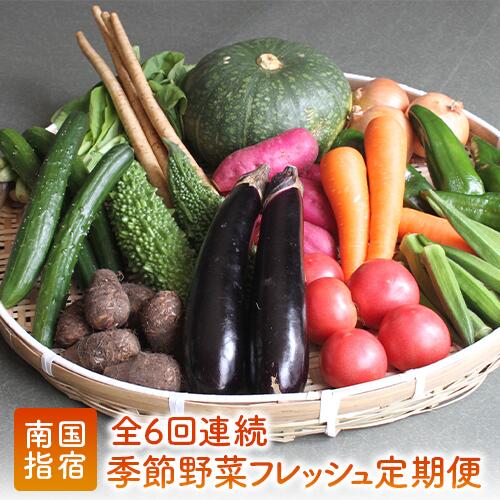 ＜定期便！翌月から連続全6回＞指宿産季節野菜の詰め合わせ(10〜13品目) 定期便 野菜 詰め合わせ 旬 野菜ボックス お楽しみボックス 【岡村商店】