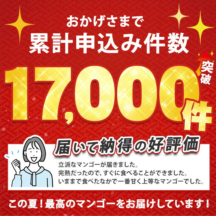 【ふるさと納税】＜先行予約 2026年7月中旬～＞ 温泉完熟マンゴー(約1kg・2〜3玉) 果物 フルーツ 完熟 スムージー ジュース 夏 旬 南国 家庭用 自宅用 鹿児島 いぶすき【トロピカルフルーツ＆プランツ】 サムネイル2