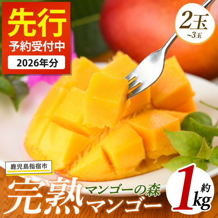 ＜先行予約受付中！2026年7月上旬以降順次発送＞指宿産しあわせ完熟マンゴー(約900g〜1kg・2〜3玉) 国産 南国 指宿産 鹿児島 アップルマンゴー マンゴー 果物 くだもの フルーツ 完熟 産地直送 お取り寄せ 夏 ギフト 贈答用【マンゴーの森】