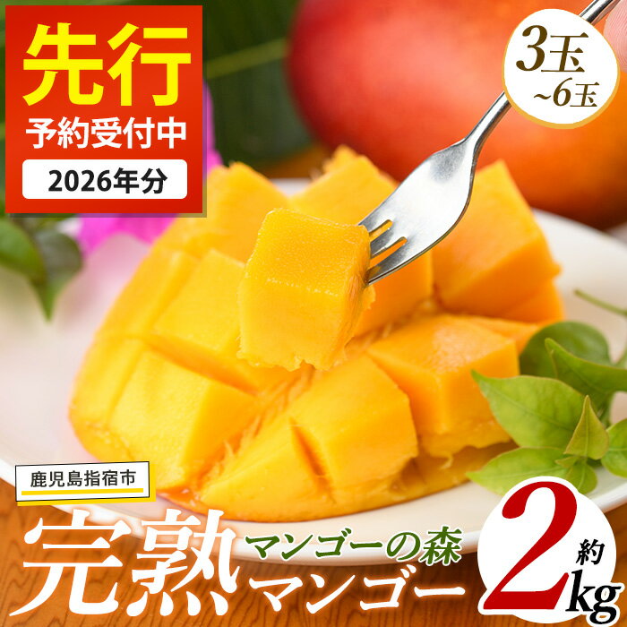 ＜先行予約受付中！2026年7月上旬以降順次発送＞指宿産しあわせ完熟マンゴー(約2kg・3玉〜6玉) 国産 南国 指宿産 鹿児島 アップルマンゴー マンゴー 果物 くだもの フルーツ 完熟 産地直送 お取り寄せ 夏 ギフト 贈答用【マンゴーの森】