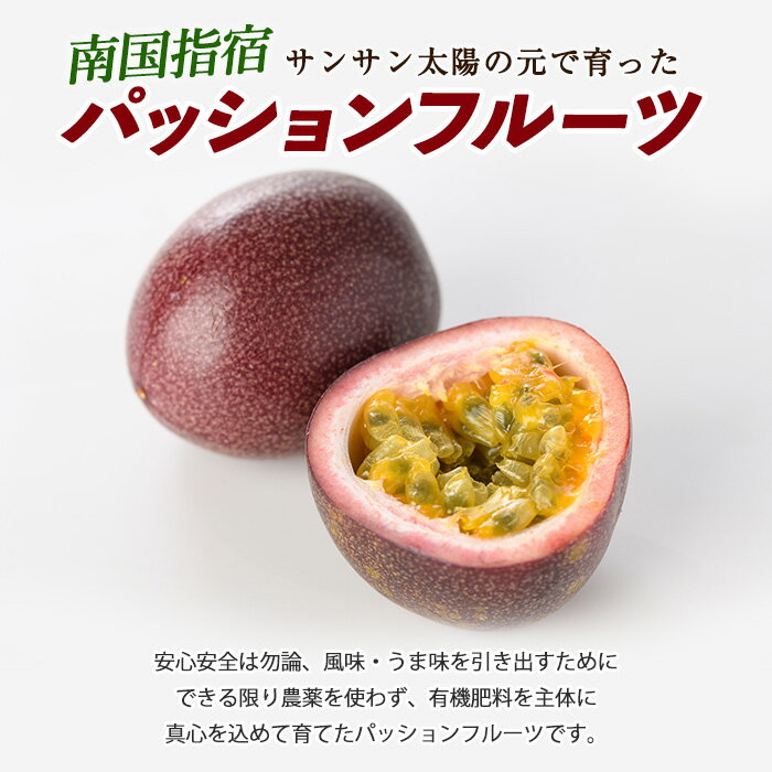 【ふるさと納税】【 2026年発送 先行予約 】 鹿児島県指宿市産パッションフルーツ(10～14玉入り)フルーツ 果物 パッションフルーツ 国産 果実 旬 指宿 鹿児島 デザート おやつ 送料無料【マンゴーの森】 サムネイル2