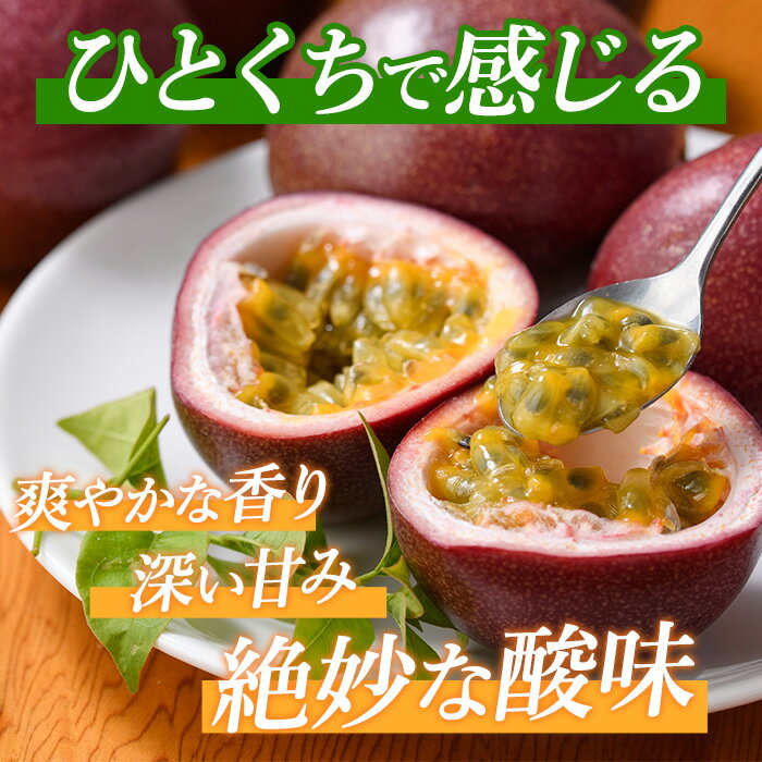 【ふるさと納税】【 2026年発送 先行予約 】 鹿児島県指宿市産パッションフルーツ(10～14玉入り)フルーツ 果物 パッションフルーツ 国産 果実 旬 指宿 鹿児島 デザート おやつ 送料無料【マンゴーの森】 サムネイル3