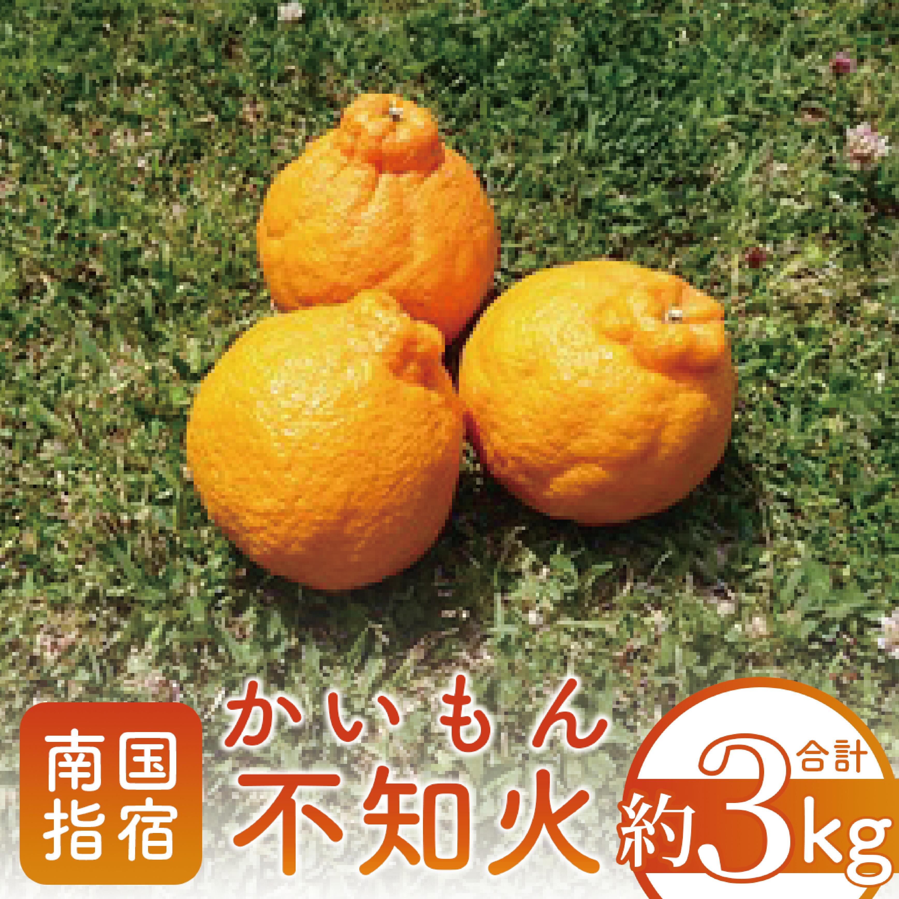 ＜期間限定！2026年1月上旬頃以降順次発送＞鹿児島県指宿市産のみかん！かいもん不知火(約3kg) 不知火 しらぬい みかん ミカン 柑橘類 フルーツ 果物 旬 大容量 冬 春 【迫田果樹園】