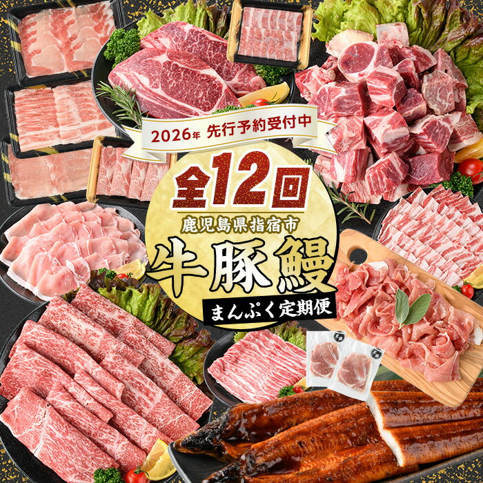 【2026年発送 先行予約】＜定期便！全12回(連続)＞鹿児島自慢の豚・牛・うなぎ！まんぷく定期便！ 牛肉 黒毛和牛 和牛 国産牛 豚肉 黒豚 ロースステーキ すき焼き しょうが焼き 薄切り スライス 生ハム 鰻 うなぎ ウナギ 【水迫畜産】