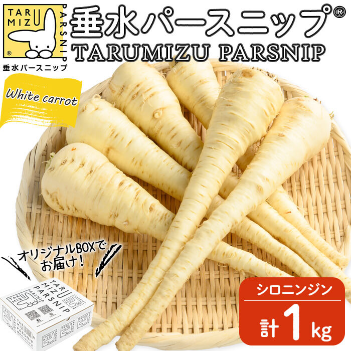 垂水パースニップ 計1kg パースニップ シロニンジン サトウニンジン 国産 鹿児島県産にんじん 人参 ニンジン 栽培期間中農薬不使用 野菜【垂水大同青果】A1-5712