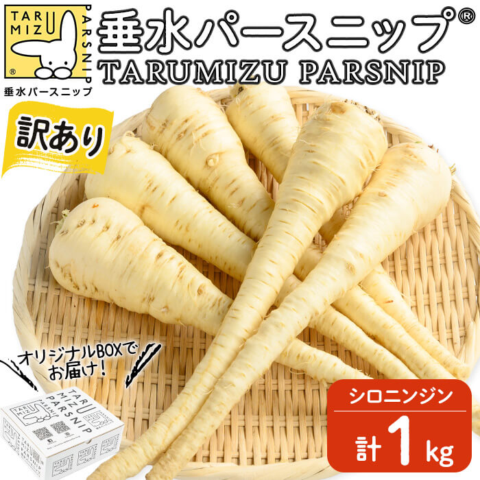 【訳あり】垂水パースニップ 計1kg パースニップ シロニンジン サトウニンジン 国産 鹿児島県産にんじん 人参 ニンジン 栽培期間中農薬不使用 野菜 訳アリ【垂水大同青果】W-5701