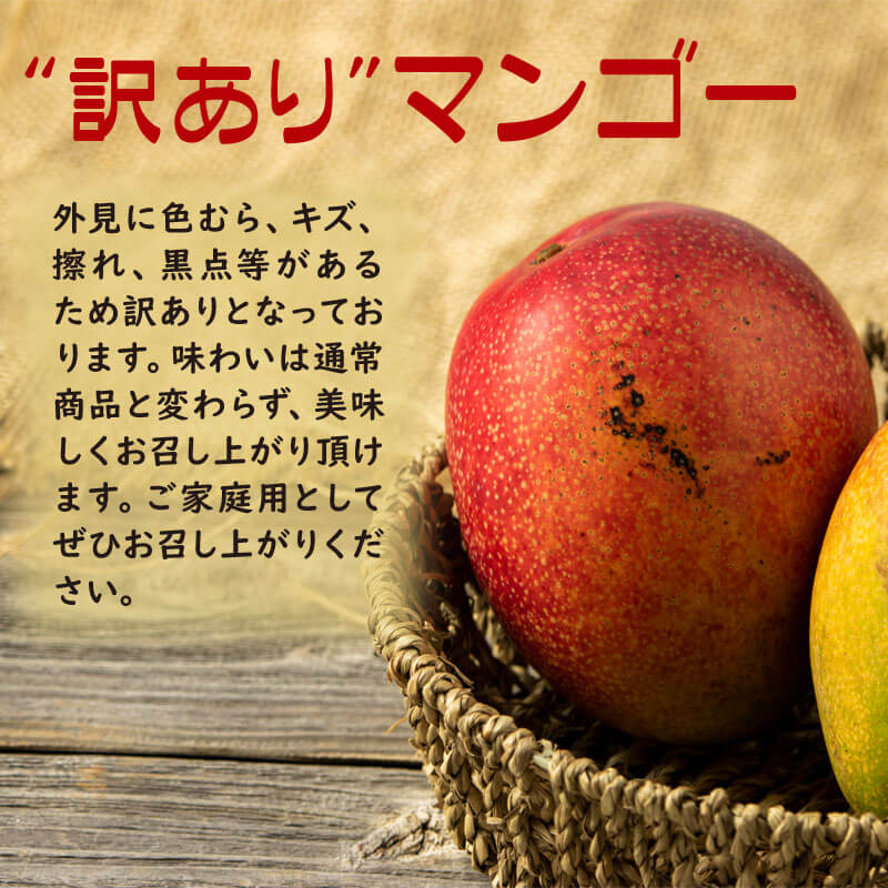 【ふるさと納税】【訳あり】【先行予約】マンゴー1kg 2〜3玉でお届け フルーツ 果物 トロピカルフルーツ トロピカル 完熟マンゴー 温泉マンゴー 濃厚 甘い 産地直送 鹿児島 【財宝】A1-22552 - 画像2