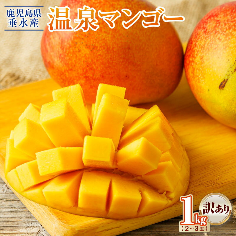 【訳あり】【先行予約】マンゴー1kg 2〜3玉でお届け フルーツ 果物 トロピカルフルーツ トロピカル 完熟マンゴー 温泉マンゴー 濃厚 甘い 産地直送 鹿児島 【財宝】A1-22552