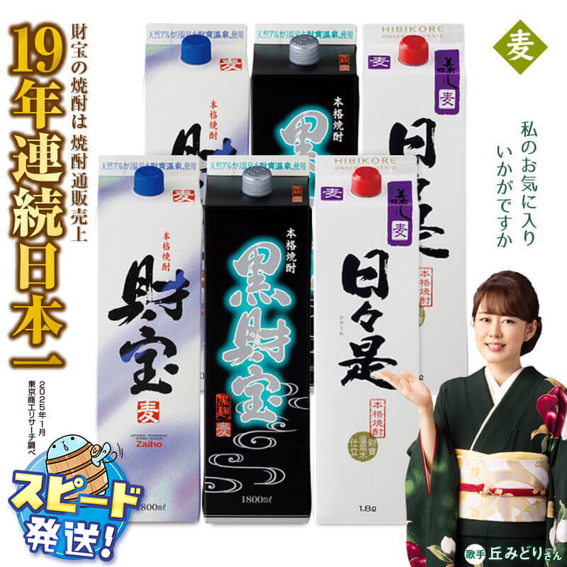麦焼酎 飲み比べセット 紙パック 3種6本セット 焼酎 麦 1800ml アルコール 25度 天然アルカリ温泉水 財寶温泉 を割水に使用 ギフト 贈り物 プレゼント お酒 鹿児島県 すぐ届く【財宝】C3-22107