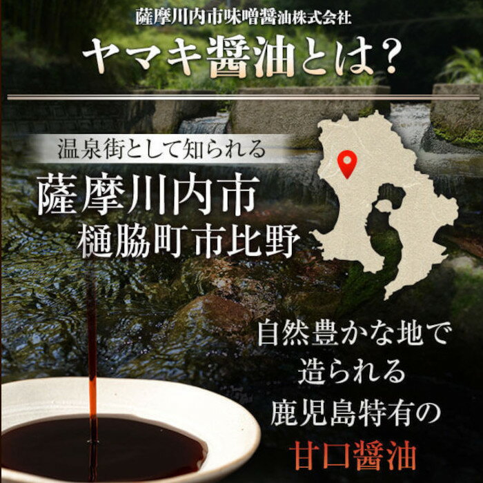 【ふるさと納税】 ヤマキさしみ醤油セット 2本 ZS-742 醤油 濃口 さしみ 刺身 かけ醤油 煮炊き すき焼き 割下 夕食 晩御飯 和食 食卓 彩 老舗 こだわり 国内製造 ギフト のし 包装 ラッピング お中元 お歳暮 鹿児島県 薩摩川内市 送料無料 サムネイル3