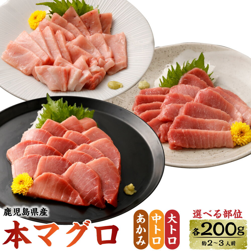 【選べる部位】 鹿児島県産本マグロ 赤身 中トロ 大トロ 200g 約2~3人前 本まぐろ 赤身 刺身 本鮪 お刺身 柵 ブロック 冷凍 海鮮 養殖 新鮮 マグロ丼 海鮮丼の具 漬け丼 鹿児島 九州 薩摩川内市 国産 九州産 鹿児島産