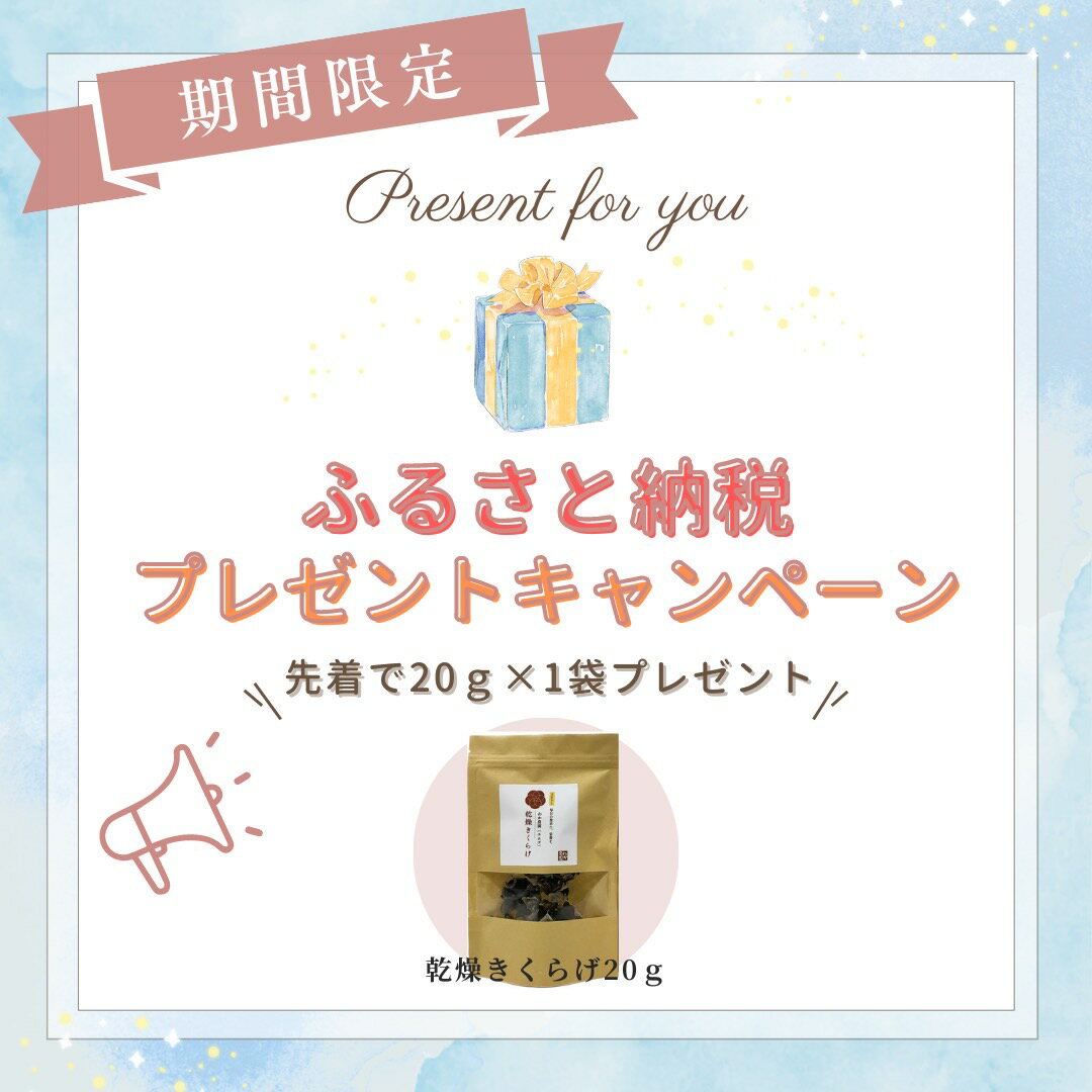 【ふるさと納税】薩摩川内市産の乾燥きくらげ・粉末セット DS-006 きくらげ 乾燥きくらげ 粉末 国産 鹿児島県 薩摩川内市 送料無料 - 画像3