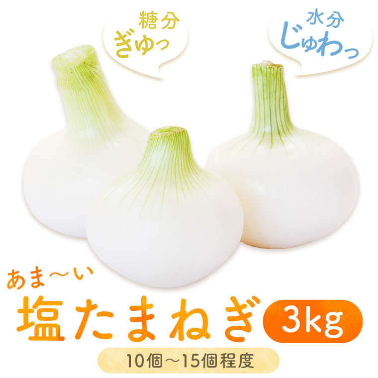 湯田口海岸産 塩たまねぎ 約3kg 【3月以降順次発送】【3月31日まで申込受付】 新玉ねぎ 玉ねぎ 塩玉ねぎ 鹿児島県 薩摩川内市 送料無料 塩たまねぎ 塩タマネギ 塩玉葱 新玉ねぎ 新たまねぎ 新タマネギ 新玉葱 塩浜地区