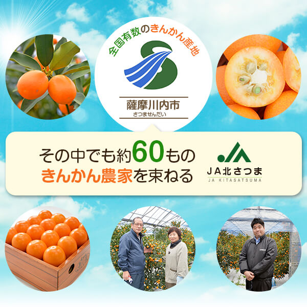 【ふるさと納税】JA北さつまのきんかん「いりき」250g×15袋 季節限定 1月より順次お届け キンカン 金柑 薩摩川内市特産品 フルーツ金柑 ハウスきんかん 北さつま農業協同組合 北さつま農協 サムネイル2