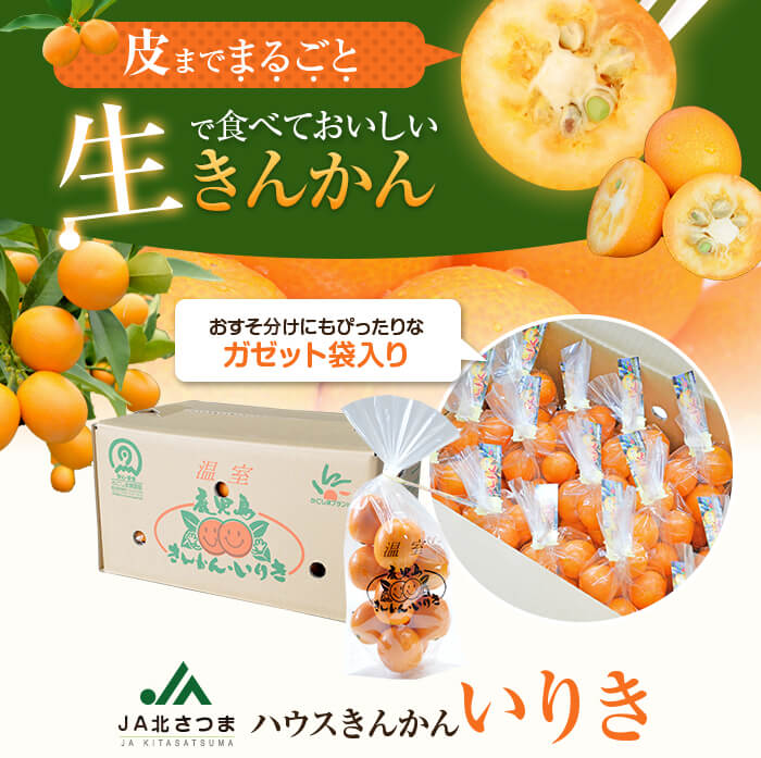 JA北さつまのきんかん「いりき」250g×15袋 季節限定 1月より順次お届け キンカン 金柑 薩摩川内市特産品 フルーツ金柑 ハウスきんかん 北さつま農業協同組合 北さつま農協
