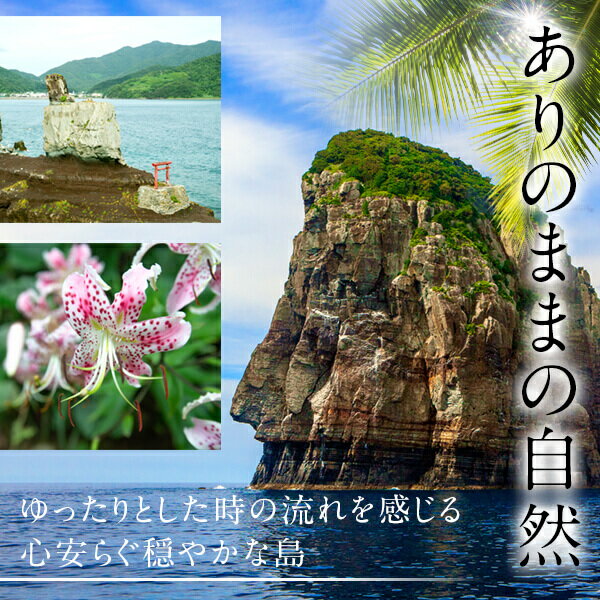 【ふるさと納税】 芋焼酎『六代目百合（25度）』720ml　2本セット 六代目 百合 いも 芋 焼酎 25度 720ml 2本セット 塩田酒造 鹿児島県 薩摩川内市 送料無料 サムネイル3