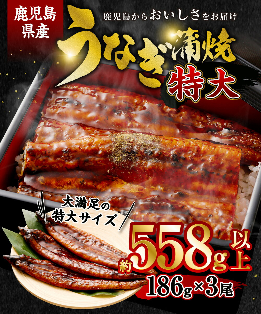 【ふるさと納税】【数量限定！配送月が選べる！】鹿児島県産 特大サイズうなぎ蒲焼3尾 合計558g以上 鰻蒲焼うなぎウナギ 土用 の 丑の日 鹿児島県 薩摩川内市 送料無料 サムネイル2
