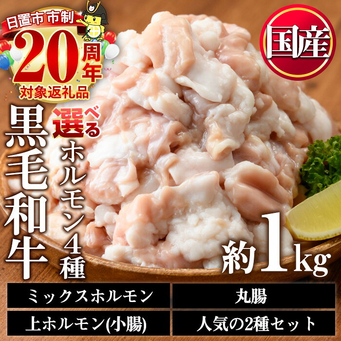 ＜4種から選べる＞国産！黒毛和牛ホルモン(ミックスホルモン計1kg/上ホルモン計1kg/丸腸計1kg/ミックスホルモン＋小腸合計1.1kg) 国産 九州産 牛肉 黒毛和牛 和牛 ホルモン 焼肉 鉄板焼き もつ鍋 タレ漬け 冷凍 小分け 市制20周年 寄附額改定【カミチク】