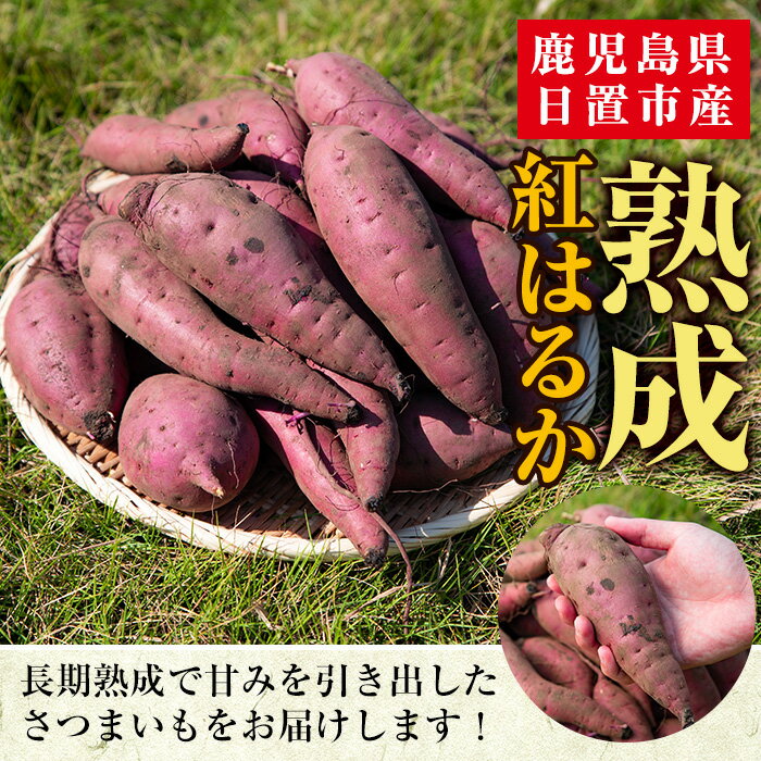 【ふるさと納税】＜容量選べる！＞訳あり・不揃い！鹿児島県日置市産さつまいも！熟成紅はるか(約6kg～約12kg) 国産 九州産 サツマイモ さつま芋 訳アリ 紅春香 熟成 芋 焼き芋 やきいも 野菜 スイーツ 常温 常温保存 期間限定【末永商店】 サムネイル3