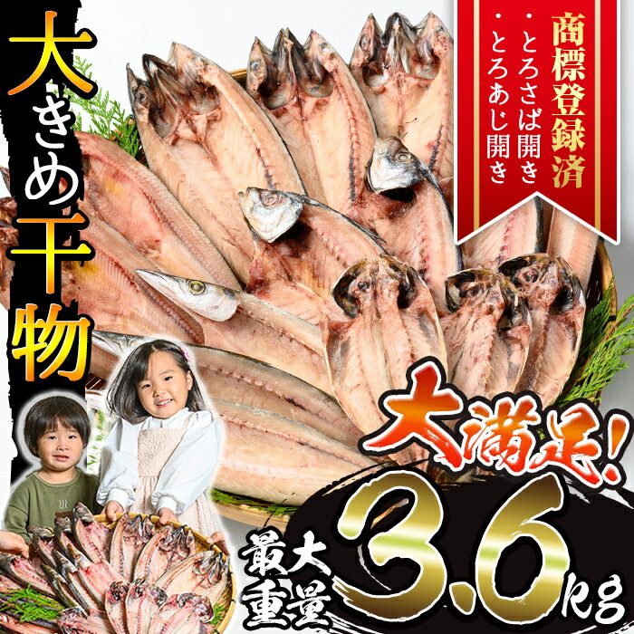 ＜選べる重量＞大きめ干物詰合せ＜合計2kg～3.6kg！＞ 干物 セット 詰め合わせ ひもの 魚介類 魚 おかず おつまみ お楽しみ 【みのだ食品】