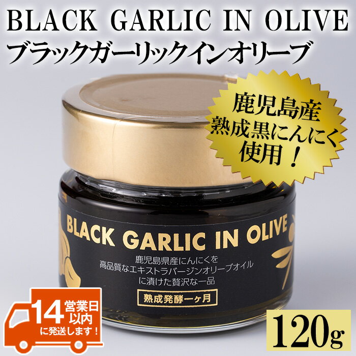 ブラックガーリックインオリーブ(120g×1本・固形60g) BLACK GARLIC IN OLIVE ニンニク にんにく 黒にんにく ガーリック 油 オリーブ 調味料【鹿児島オリーブ】