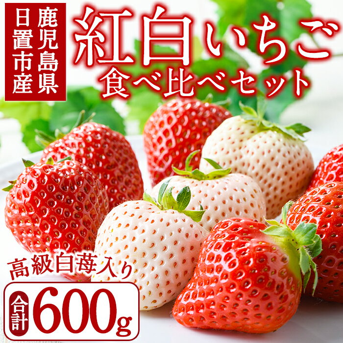 ＜先行予約受付中！＞紅白いちごの食べ比べセット(計600g・300g×2トレー) 国産 九州産 鹿児島 日置市 生鮮食品 苺 イチゴ 白苺 赤苺 果物 くだもの フルーツ 大粒 食べ比べ 詰め合わせ パック 【ままりあ農園】