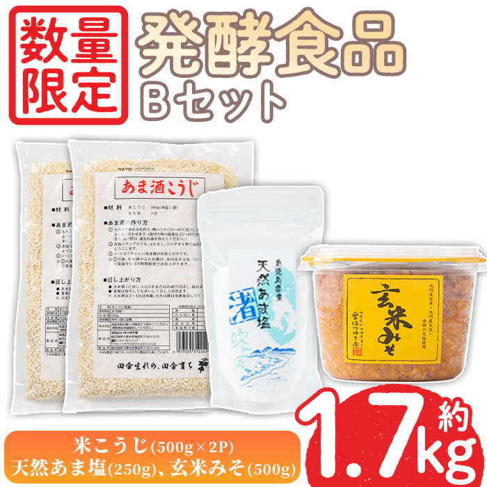 ＜数量限定＞発酵食品Bセット！米こうじ(500g×2個)・天然あま塩(250g)・玄米みそ(500g) 味噌 みそ 無添加 麹 こうじ 味噌汁 料理 調味料 お酒 お菓子 無着色【日置市観光協会】