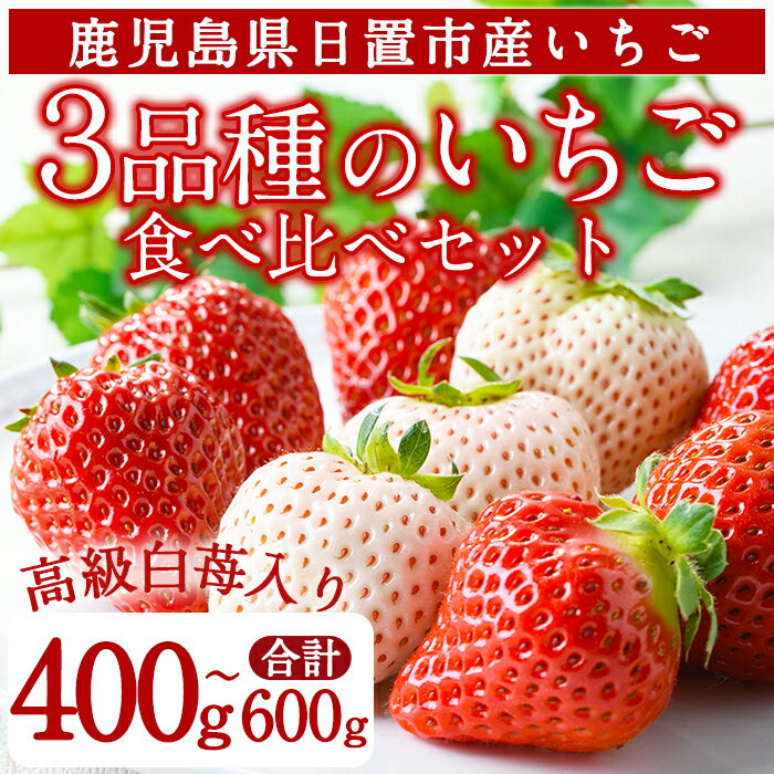 ＜先行予約受付中！＞3品種いちごの食べ比べセット(約400g～600g)国産 九州産 鹿児島 日置市 生鮮食品 苺 イチゴ 白苺 赤苺 果物 くだもの フルーツ 大粒 食べ比べ 詰め合わせ パック 【ままりあ農園】