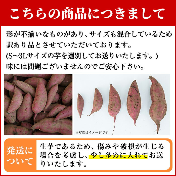 【ふるさと納税】＜容量選べる！＞訳あり・不揃い！鹿児島県日置市産さつまいも！熟成紅はるか(約6kg～約12kg) 国産 九州産 サツマイモ さつま芋 訳アリ 紅春香 熟成 芋 焼き芋 やきいも 野菜 スイーツ 常温 常温保存 期間限定【末永商店】 サムネイル2