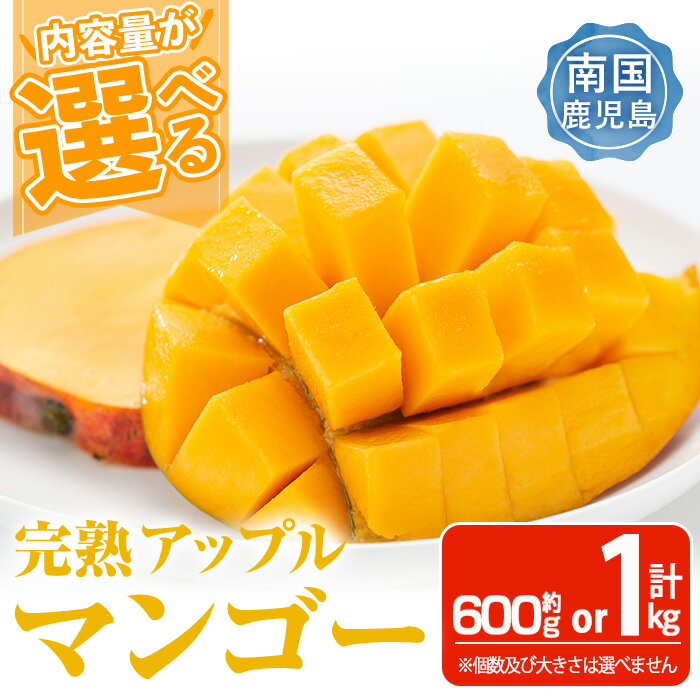 ＜先行予約受付中・2026年6月下旬～7月下旬頃に発送予定＞＜選べる内容量！＞ 数量限定 完熟アップルマンゴー「紅」(約600g〜計1kg) マンゴー アップルマンゴー 旬 果物 フルーツ 紅 くだもの 贈答用 家庭用 宮崎県境【大徳産業】