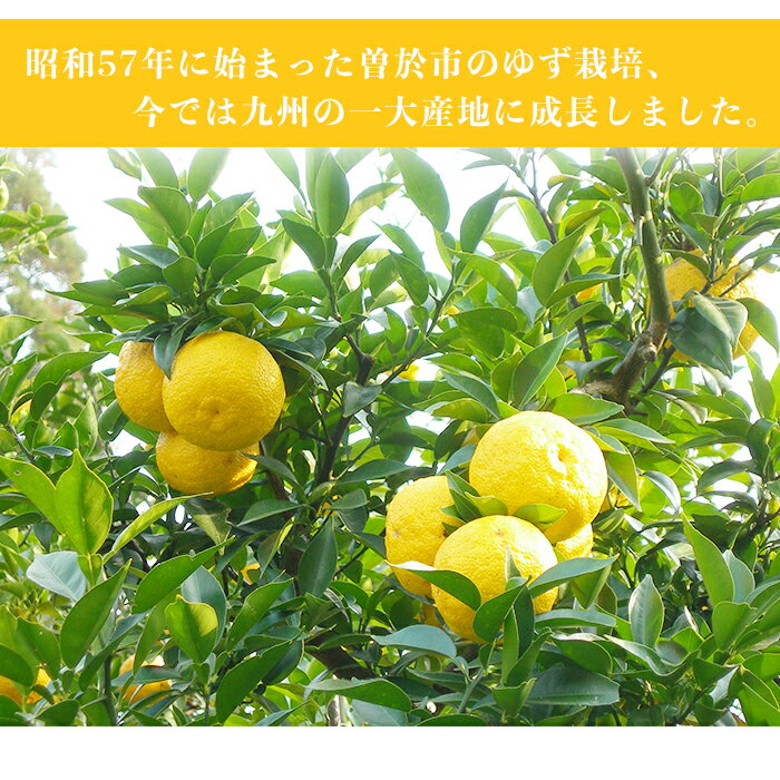 【ふるさと納税】【テレビで紹介されました！】ゆず彩りセット(ブランド一押し編) ゆずドリンクやドレッシングなど10種セット！ ジュース ドレッシング しゃぶしゃぶ たれ ゼリー 柚子胡椒 はちみつゆず セット ゆず 柚子 ユズ ドリンク 胡麻 ゴマ【メセナ食彩センター】 サムネイル3