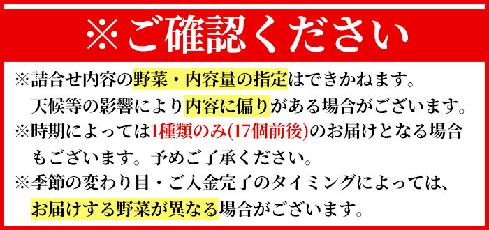 【ふるさと納税】《選べる発送》霧島市産の野菜おまかせBOX 17個前後(通常便・定期便12回) 国産 霧島市 野菜 やさい セット せっと おまかせ 詰め合わせ 旬【FoodBase】 - 画像2