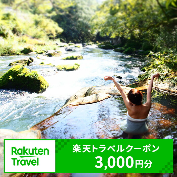 鹿児島県霧島市の対象施設で使える楽天トラベルクーポン 寄附額10,000円！宿泊券 温泉 宿泊 九州 旅行券 チケット ホテル