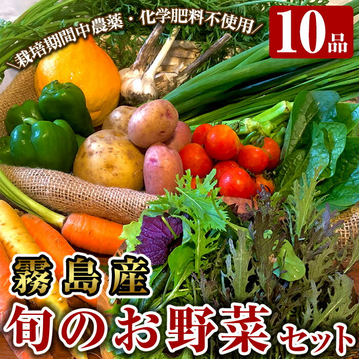 霧島産！旬の野菜セット(季節の野菜10品)栽培期間中農薬・化学肥料不使用の新鮮な野菜の詰め合わせ【有機ファームえん】