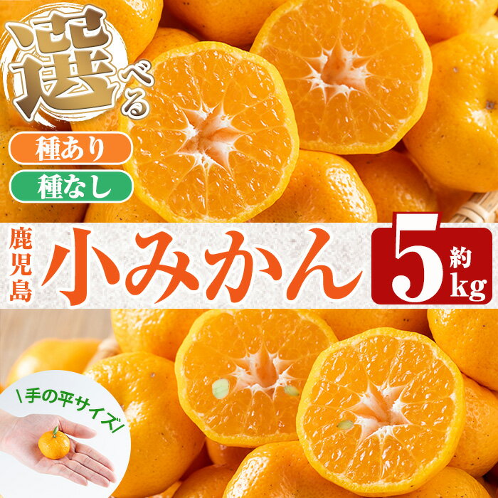 《種なし・種ありが選べる！》＜数量限定！先行予約受付中＞鹿児島小みかん(約5kg) 果物 みかん ミカン 蜜柑 柑橘 フルーツ【福岡果樹園】