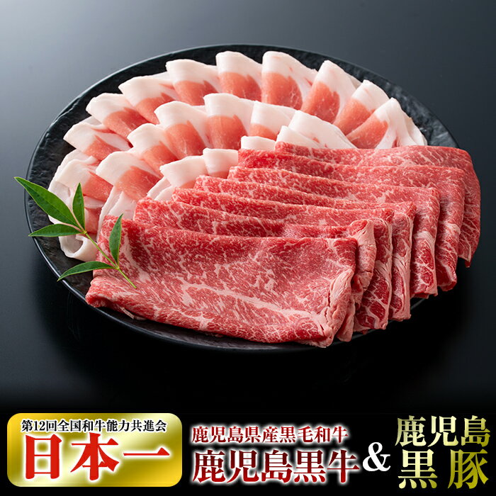 鹿児島県産黒毛和牛【A-5ランク】＆黒豚しゃぶしゃぶセット（計約800g・たれ付き)※北海道・沖縄配送不可※国産 牛肉 上赤身肉 豚肉 黒豚ロース肉 しゃぶしゃぶ肉【今肉屋】