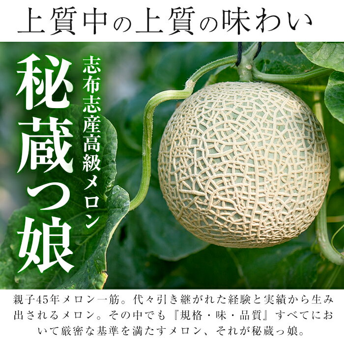 【ふるさと納税】【内容量&組み合わせが選べる】極上！鹿児島県志布志産高級メロン『秘蔵っ娘』(1玉1.4kg以上)国産の安心安全、美味しい高級フルーツのマスクメロン2種食べ比べ メロン マスクメロン 果物 フルーツ くだもの 青肉 赤肉【ファームランド牧】 サムネイル2